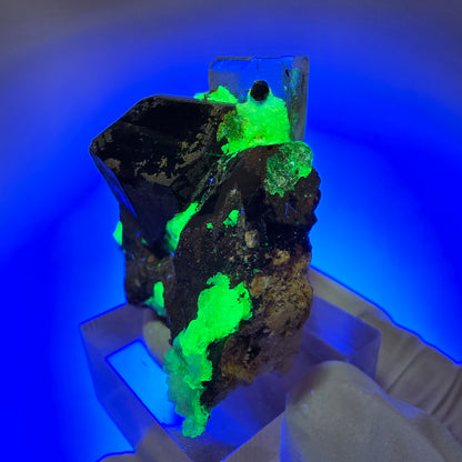 Seltene Aquamarin, Schörl Turmalin, Hyalit Opal Stufe Erongo, Namibia 38*32*25mm #13158