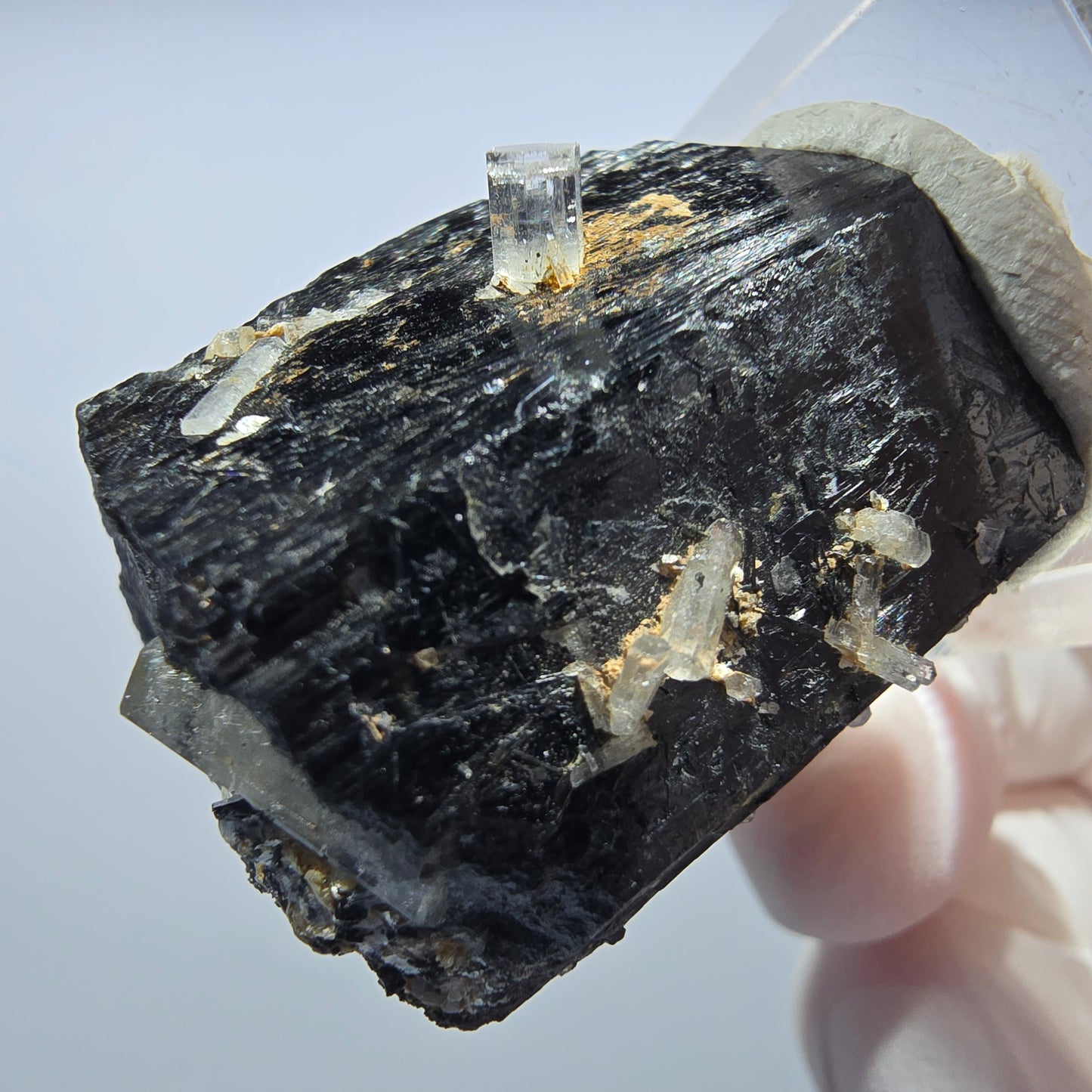 Seltene Goshenit (Beryl) auf Schörl Turmalin Stufe Erongo, Namibia 31*29*25mm #13167