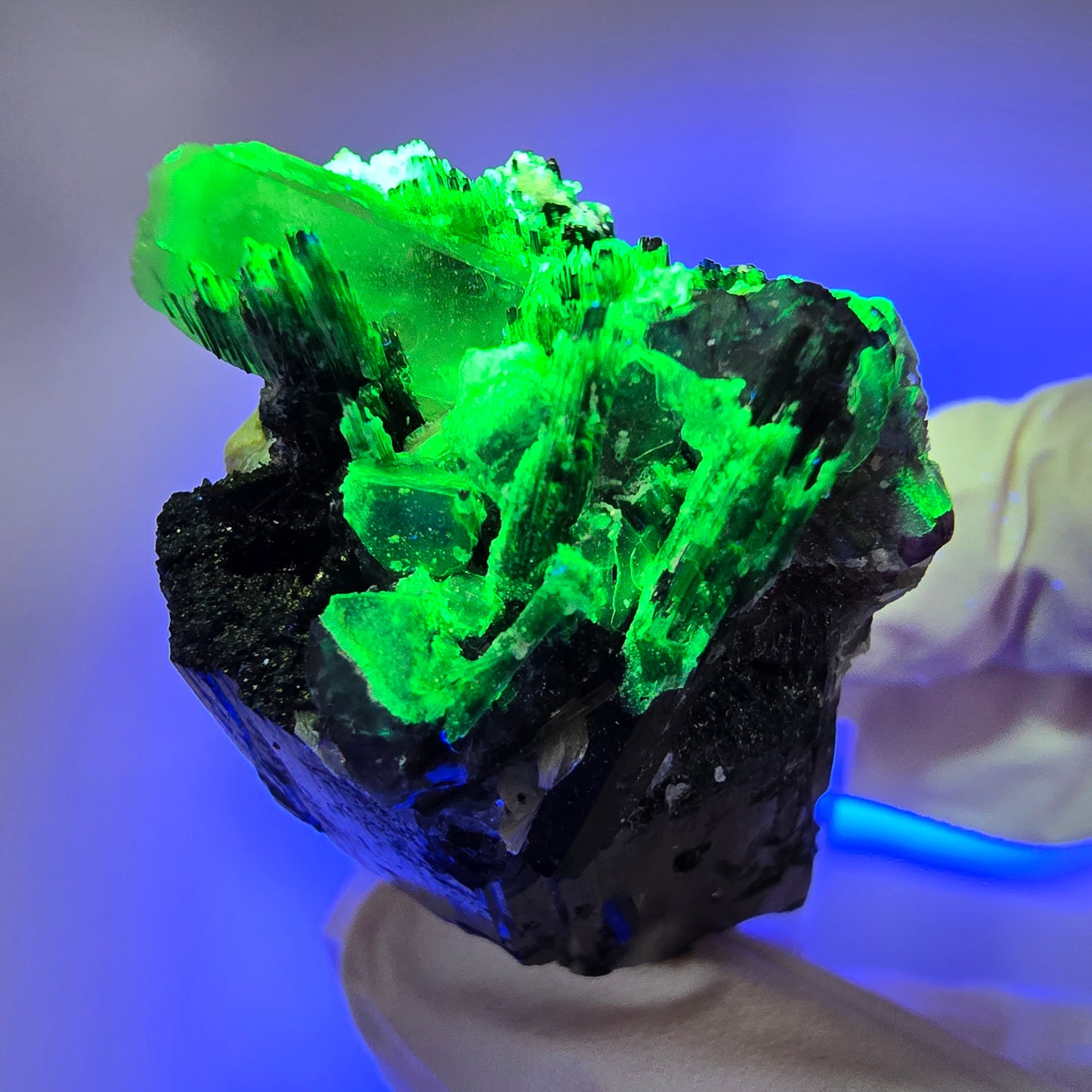 Phantom Fluorit, Hyalit, Schörl Turmalin, Rauchquarz, Muskovit Erongo, Namibia 57*25*24mm #13175