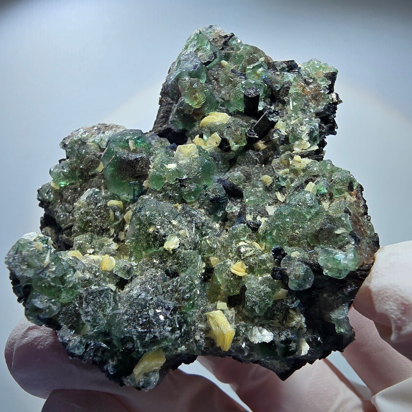 Phantom Fluorit, hexagonal, Hyalit, Schörl Turmalin, Muskovit Erongo, Namibia 66*5935mm #13181