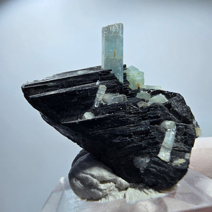 Seltene Aquamarin XX auf Schörl Turmalin Erongo, Namibia 38*30*21mm #13195