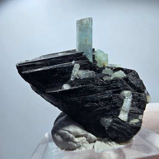 Seltene Aquamarin XX auf Schörl Turmalin Erongo, Namibia 38*30*21mm #13195