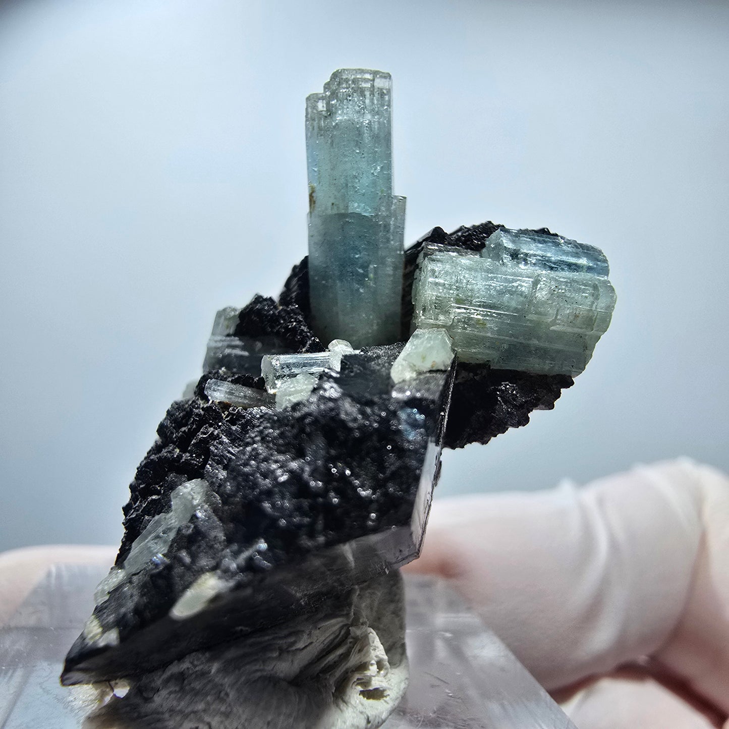 Seltene Aquamarin XX auf Schörl Turmalin Erongo, Namibia 38*30*21mm #13195