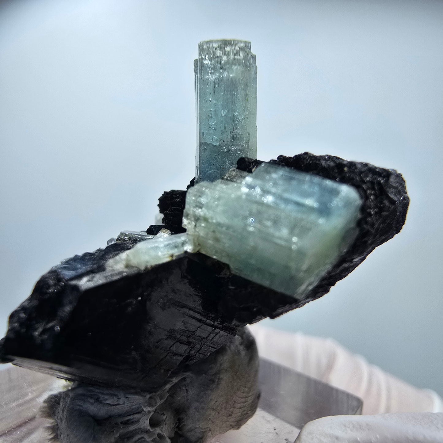 Seltene Aquamarin XX auf Schörl Turmalin Erongo, Namibia 38*30*21mm #13195