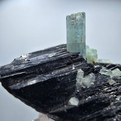 Seltene Aquamarin XX auf Schörl Turmalin Erongo, Namibia 38*30*21mm #13195