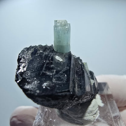 Seltene Aquamarin XX auf Schörl Turmalin Erongo, Namibia 38*30*21mm #13195