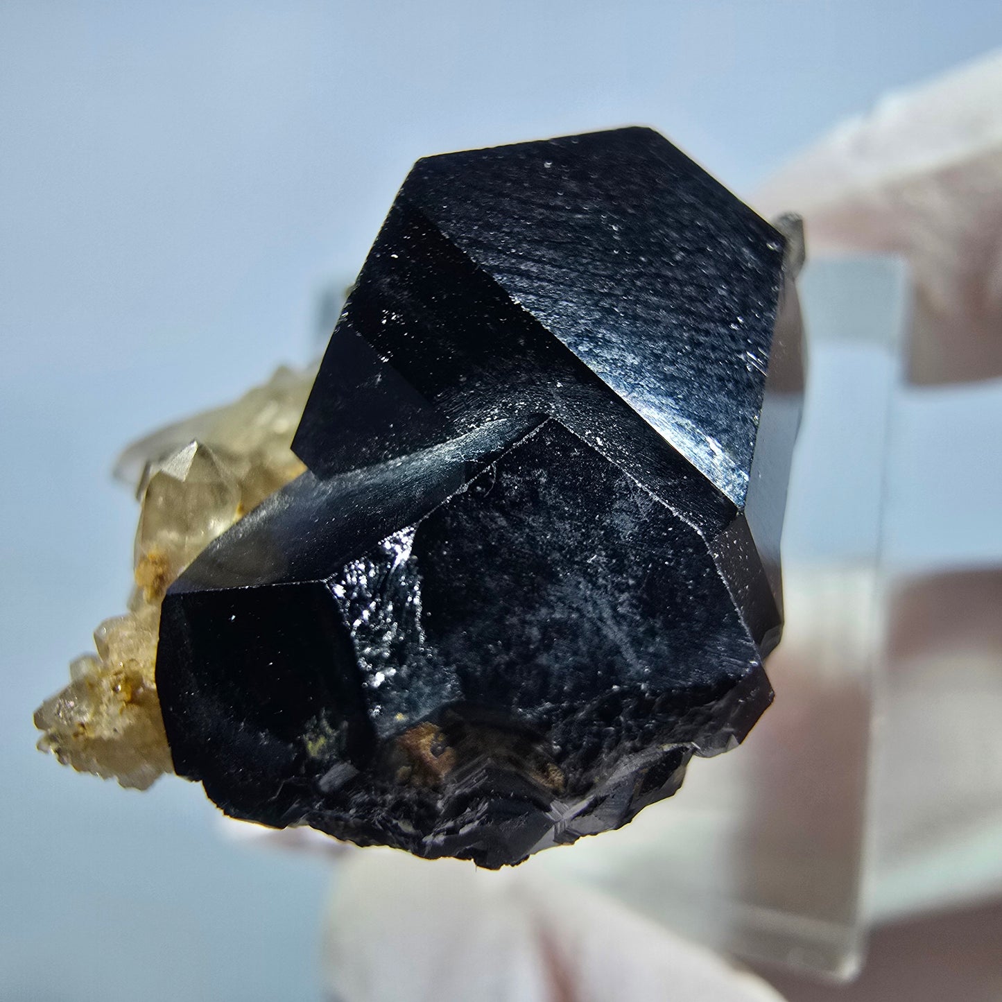 Seltene Schörl Turmalin, Rauchquarz Stufe Erongo, Namibia 26*23*22mm #13200