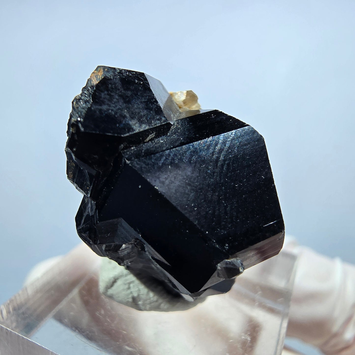 Seltene Schörl Turmalin, Rauchquarz Stufe Erongo, Namibia 26*23*22mm #13200
