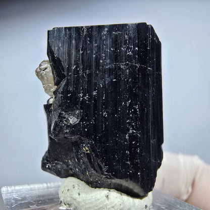 Seltene Schörl Turmalin, Rauchquarz Stufe Erongo, Namibia 31*23*20mm #13206