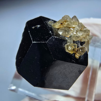 Symmetrische Schörl Turmalin, Rauchquarz Stufe Erongo, Namibia 22*20*17mm #13211