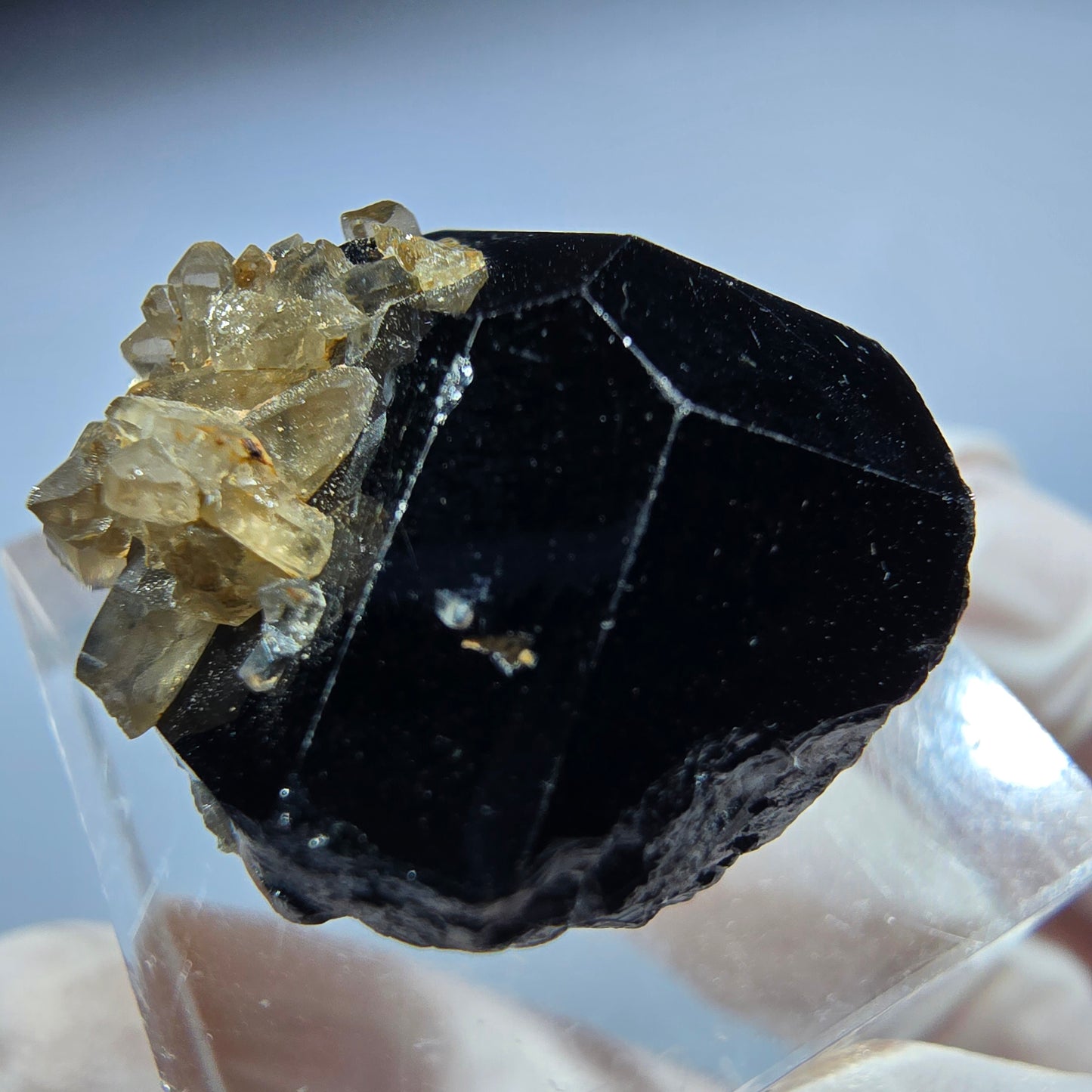 Symmetrische Schörl Turmalin, Rauchquarz Stufe Erongo, Namibia 22*20*17mm #13211