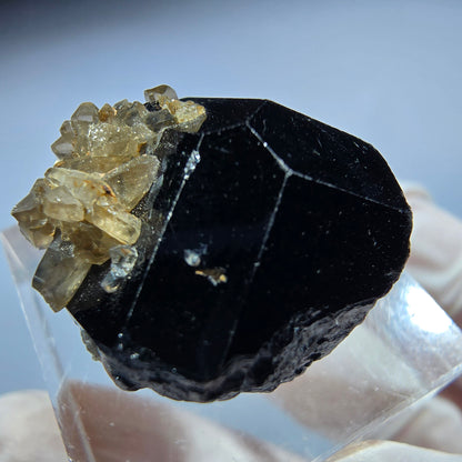 Symmetrische Schörl Turmalin, Rauchquarz Stufe Erongo, Namibia 22*20*17mm #13211