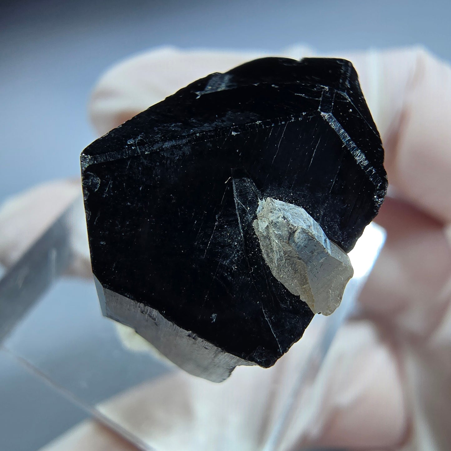 Symmetrische Schörl Turmalin, Rauchquarz Stufe Erongo, Namibia 24*20*14mm #13215