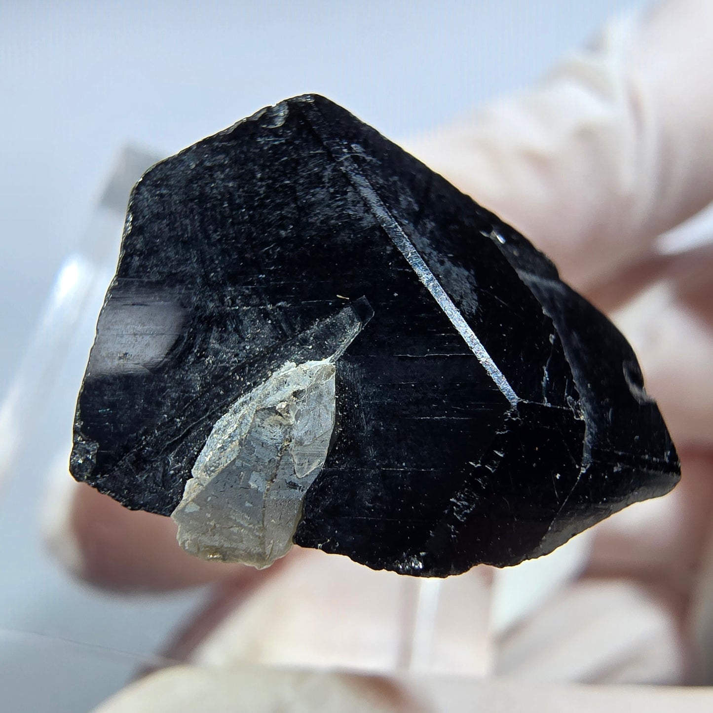 Symmetrische Schörl Turmalin, Rauchquarz Stufe Erongo, Namibia 24*20*14mm #13215