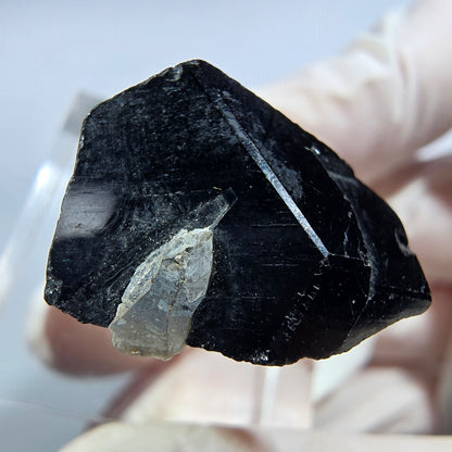 Symmetrische Schörl Turmalin, Rauchquarz Stufe Erongo, Namibia 24*20*14mm #13215