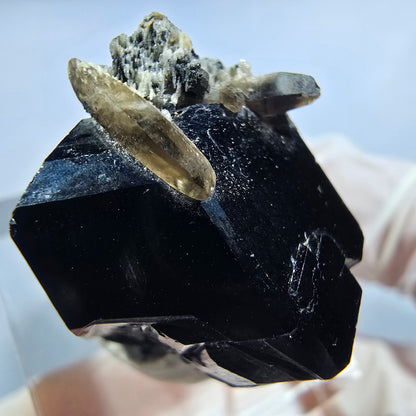 Symmetrische Schörl Turmalin, Rauchquarz Stufe Erongo, Namibia 23*22*19mm #13217