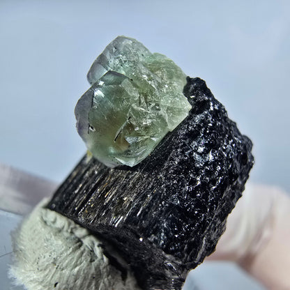 Phantom Fluorit Würfel auf Schörl Turmalin Erongo, Namibia 147*16*16mm #13223