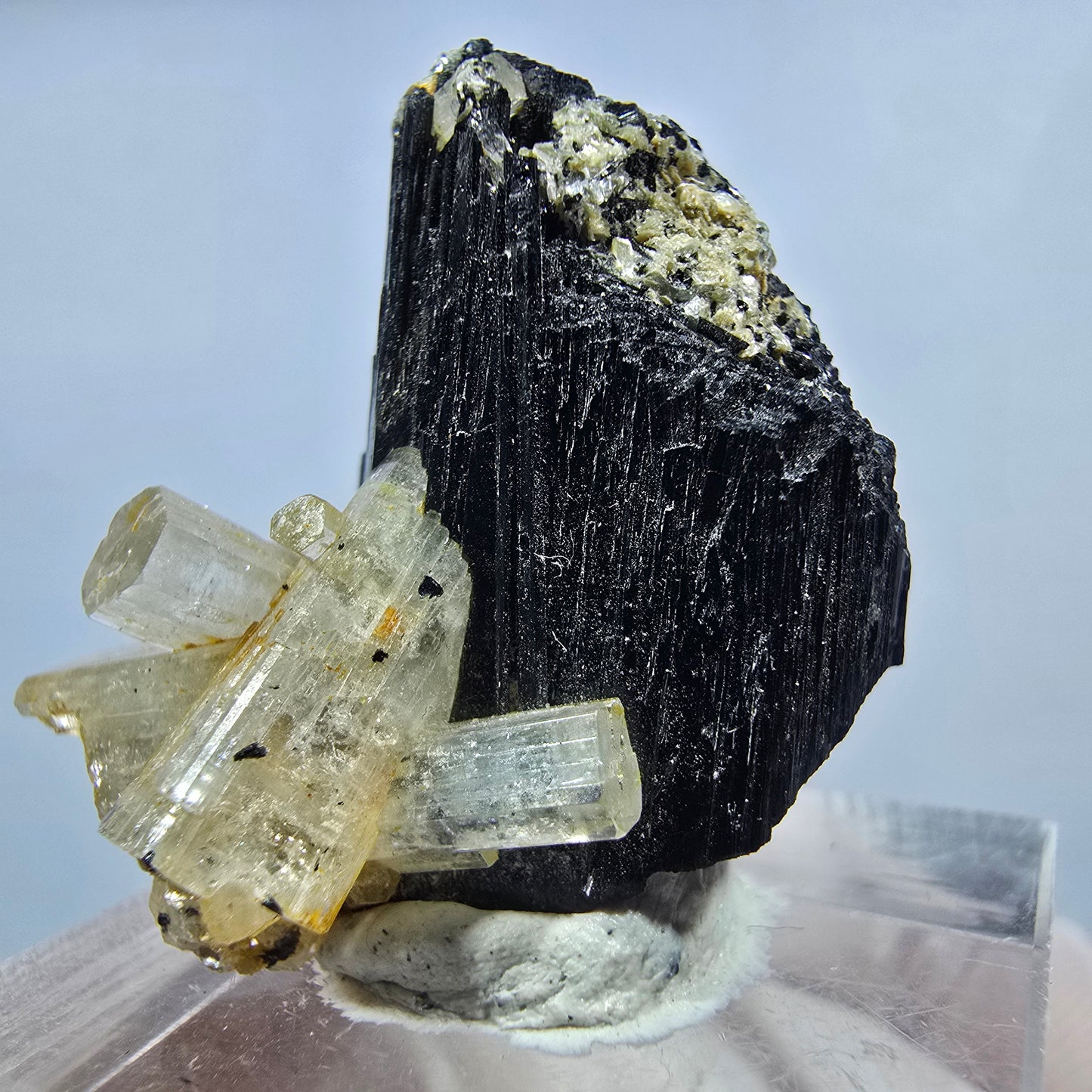 Seltene Goshenit (Beryl) auf Schörl Turmalin Stufe Erongo, Namibia 29*25*24mm #13224