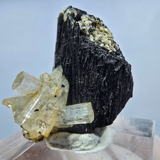 Seltene Goshenit (Beryl) auf Schörl Turmalin Stufe Erongo, Namibia 29*25*24mm #13224