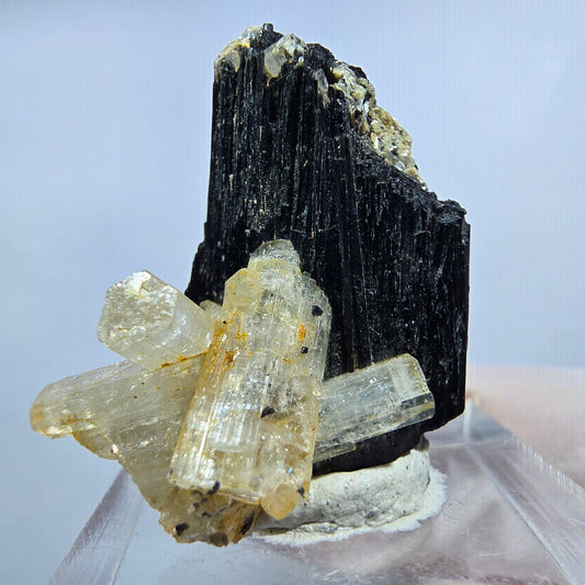 Seltene Goshenit (Beryl) auf Schörl Turmalin Stufe Erongo, Namibia 29*25*24mm #13224