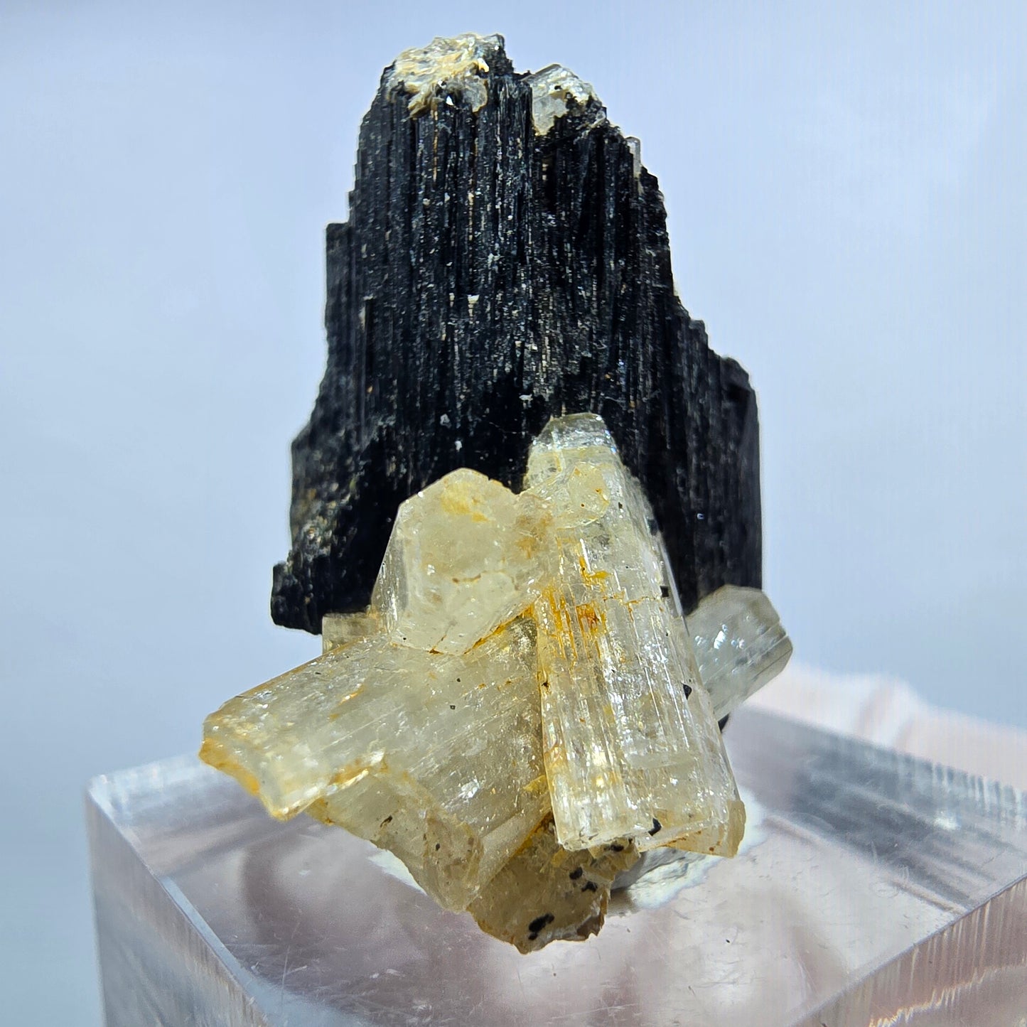 Seltene Goshenit (Beryl) auf Schörl Turmalin Stufe Erongo, Namibia 29*25*24mm #13224