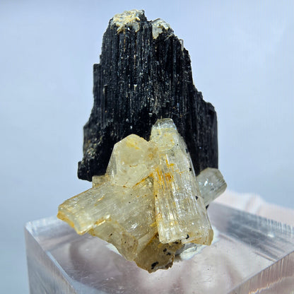 Seltene Goshenit (Beryl) auf Schörl Turmalin Stufe Erongo, Namibia 29*25*24mm #13224
