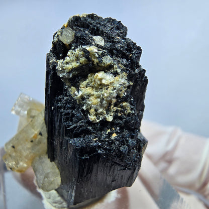 Seltene Goshenit (Beryl) auf Schörl Turmalin Stufe Erongo, Namibia 29*25*24mm #13224