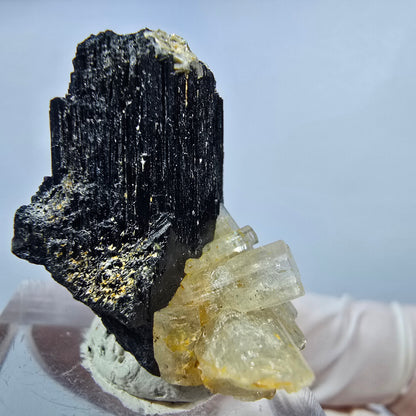 Seltene Goshenit (Beryl) auf Schörl Turmalin Stufe Erongo, Namibia 29*25*24mm #13224