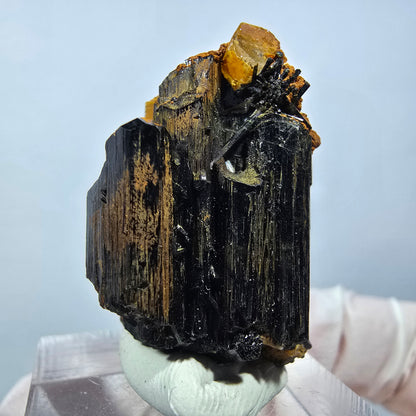 Seltene Goshenit (Beryl) auf Schörl Turmalin Stufe Erongo, Namibia 33*22*20mm #13244