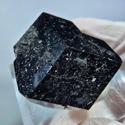 Symmetrischer Schörl Turmalin Kristall Erongo, Namibia 22*21*13mm #13248