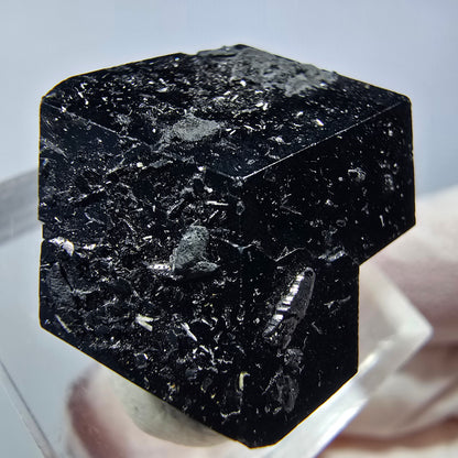 Symmetrischer Schörl Turmalin Kristall Erongo, Namibia 22*21*13mm #13248