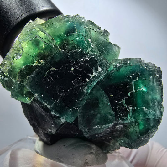 Phantom Fluorit Würfel Stufe, parkettiert grün Okorusu, Namibia 58*51*49mm #13252
