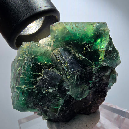 Phantom Fluorit Würfel Stufe, parkettiert grün Okorusu, Namibia 58*51*49mm #13252