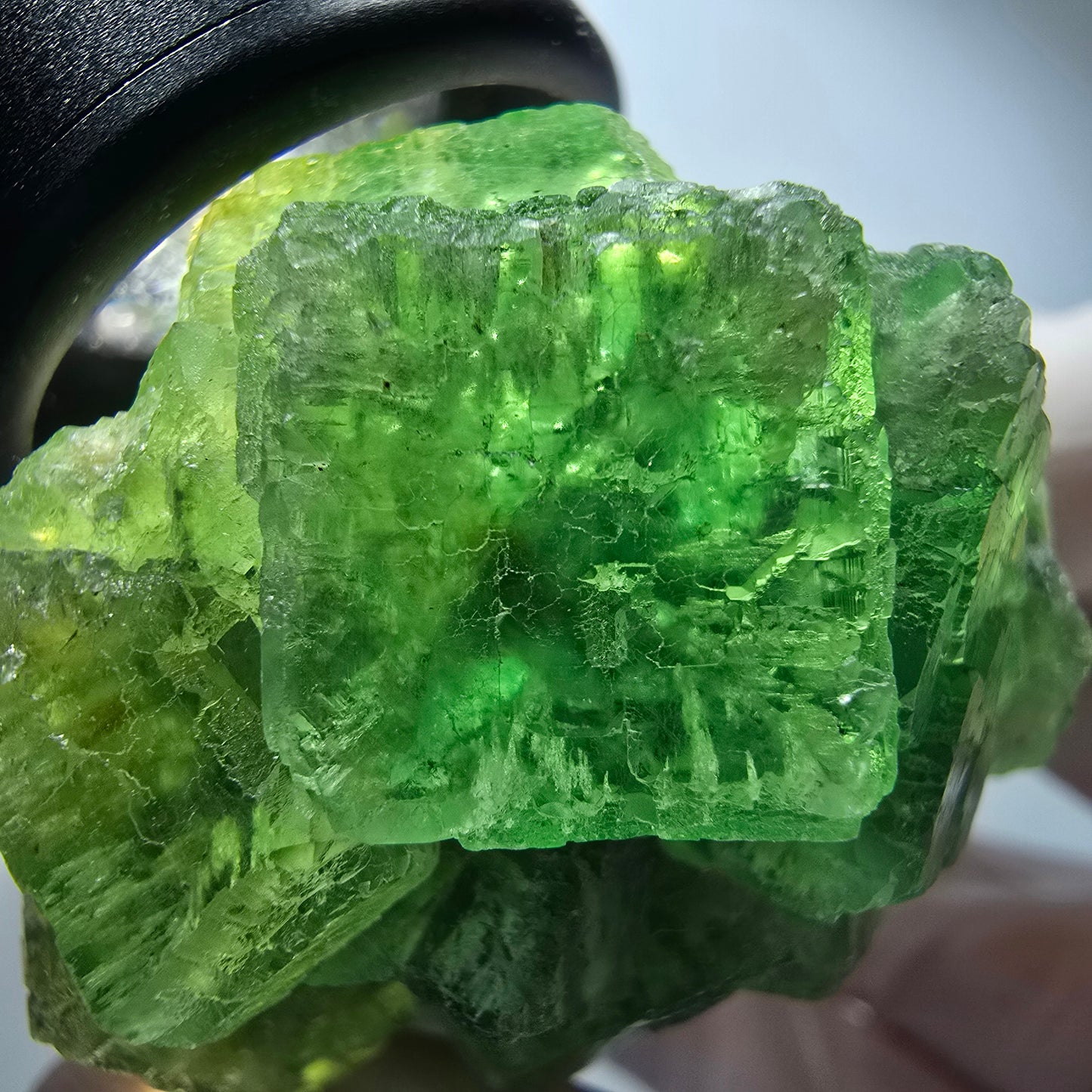 Phantom Fluorit Würfel Stufe, parkettiert grün Okorusu, Namibia 57*41*31mm #13253