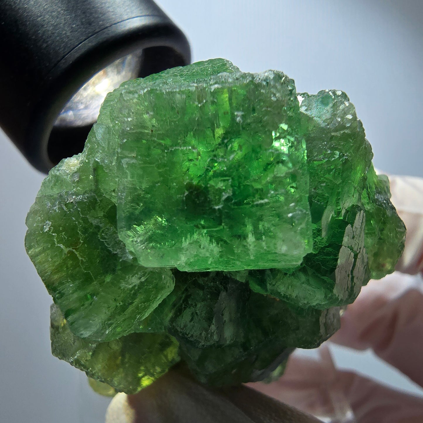 Phantom Fluorit Würfel Stufe, parkettiert grün Okorusu, Namibia 57*41*31mm #13253