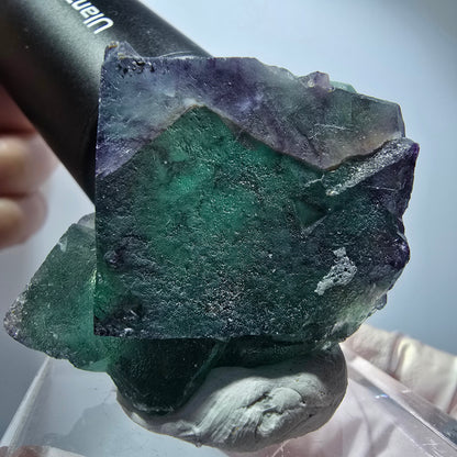 Seltene Phantom Fluorit Würfel Stufe, grün lila Okorusu, Namibia 55*41*31mm #13254