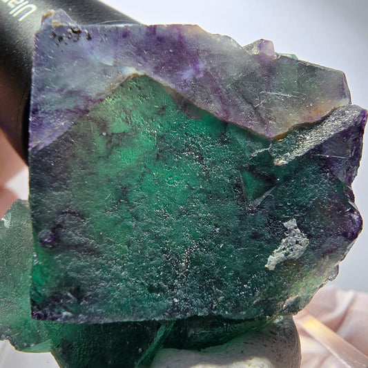 Seltene Phantom Fluorit Würfel Stufe, grün lila Okorusu, Namibia 55*41*31mm #13254