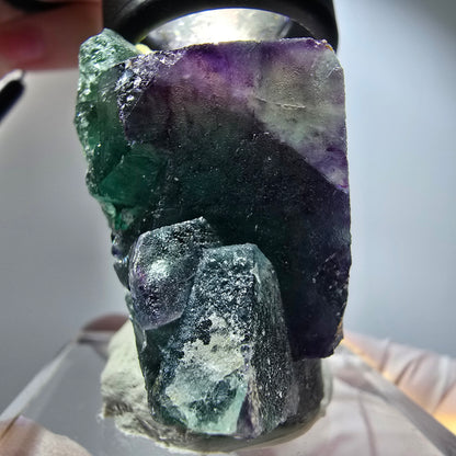 Seltene Phantom Fluorit Würfel Stufe, grün lila Okorusu, Namibia 55*41*31mm #13254