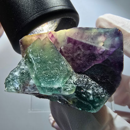 Seltene Phantom Fluorit Würfel Stufe, grün lila Okorusu, Namibia 55*41*31mm #13254
