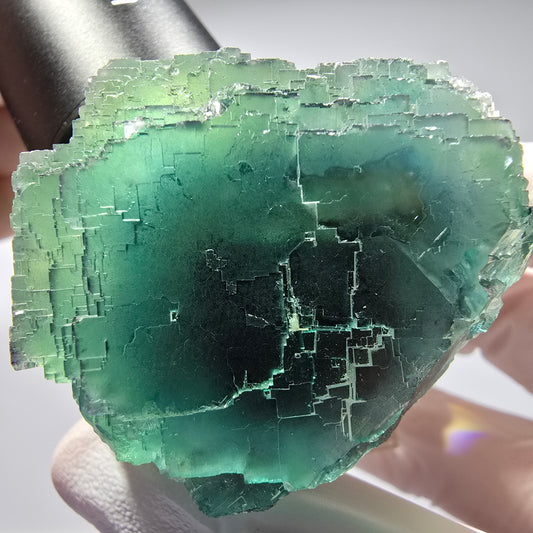 Phantom Fluorit Würfel Stufe, parkettiert Okorusu, Namibia 60*47*38mm #13255
