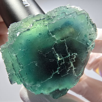 Phantom Fluorit Würfel Stufe, parkettiert Okorusu, Namibia 60*47*38mm #13255