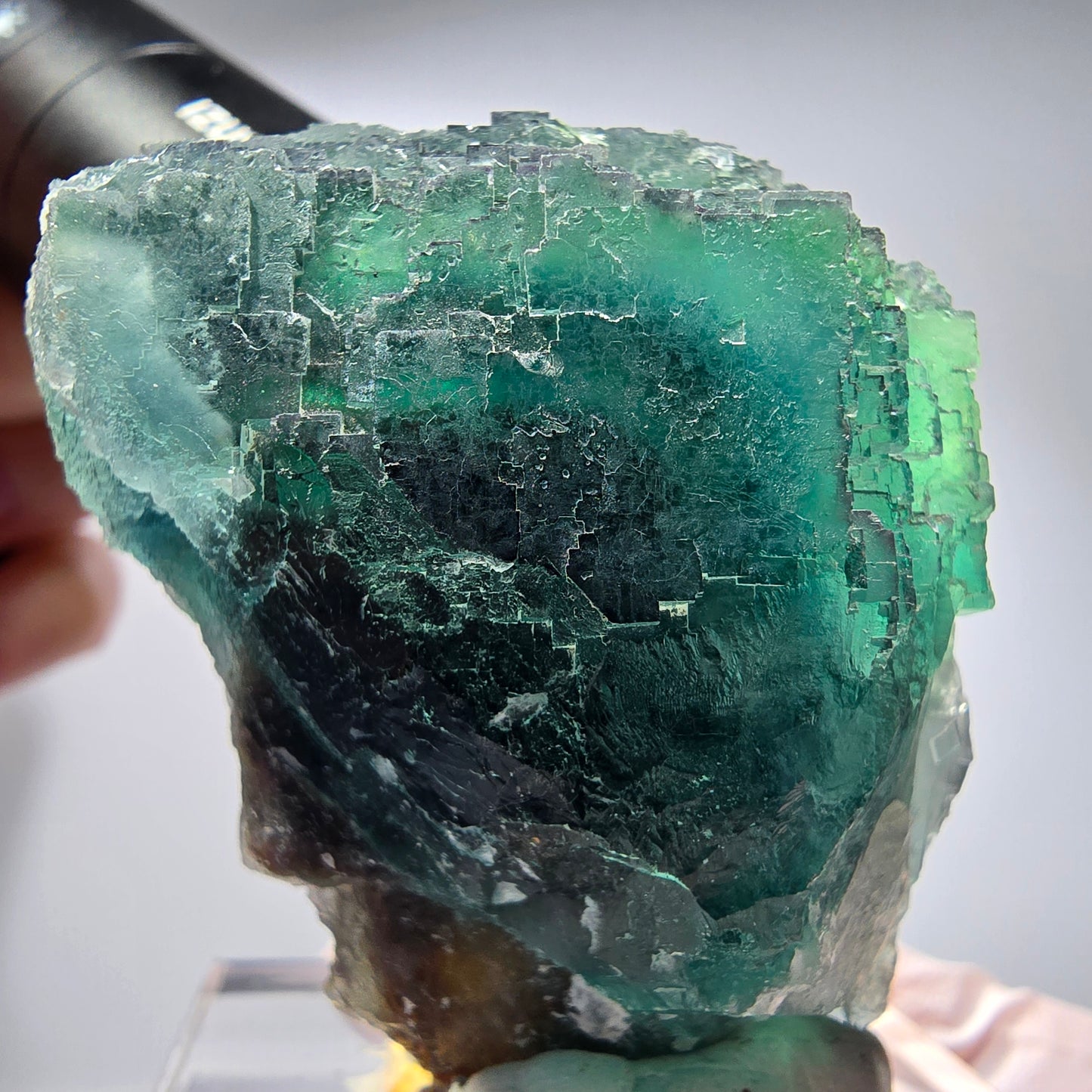 Phantom Fluorit Würfel Stufe, parkettiert Okorusu, Namibia 60*47*38mm #13255