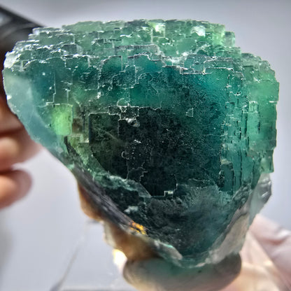 Phantom Fluorit Würfel Stufe, parkettiert Okorusu, Namibia 60*47*38mm #13255