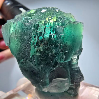 Phantom Fluorit Würfel Stufe, parkettiert Okorusu, Namibia 60*47*38mm #13255