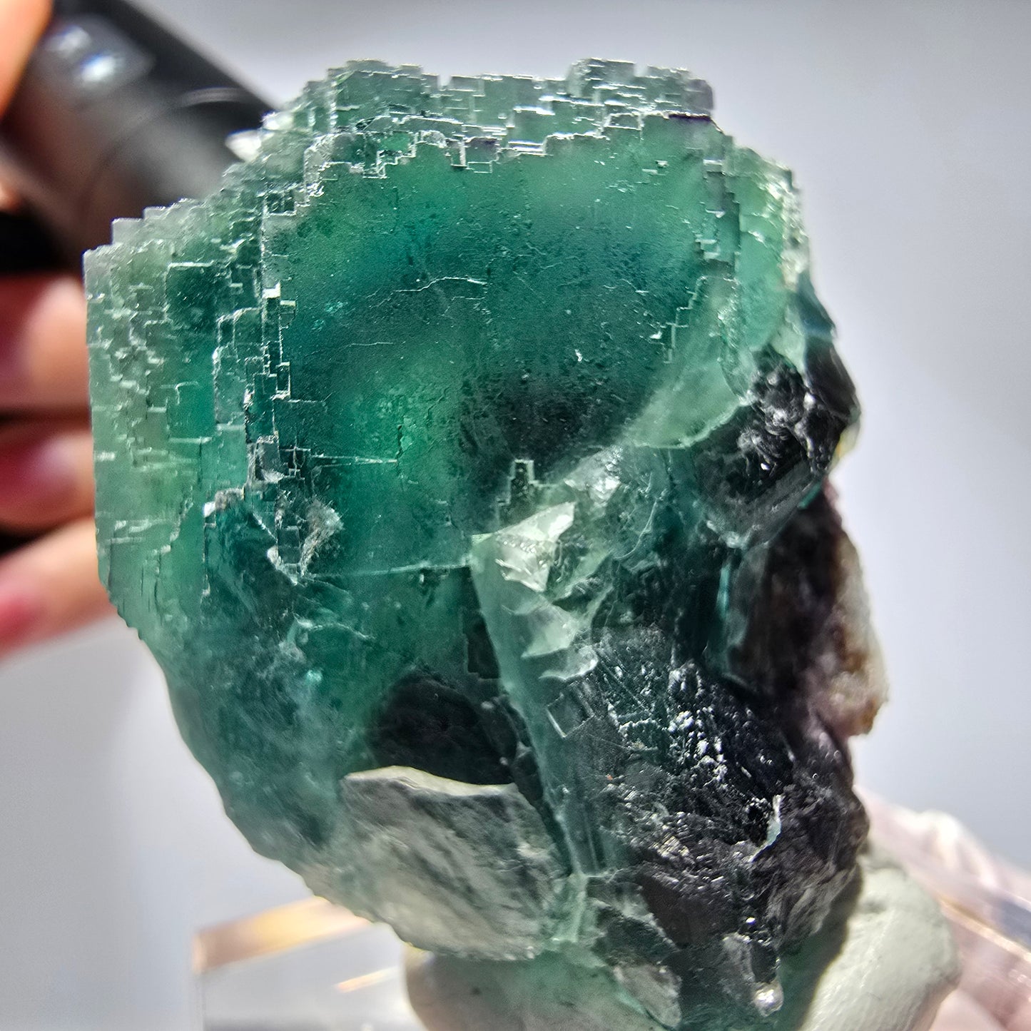 Phantom Fluorit Würfel Stufe, parkettiert Okorusu, Namibia 60*47*38mm #13255