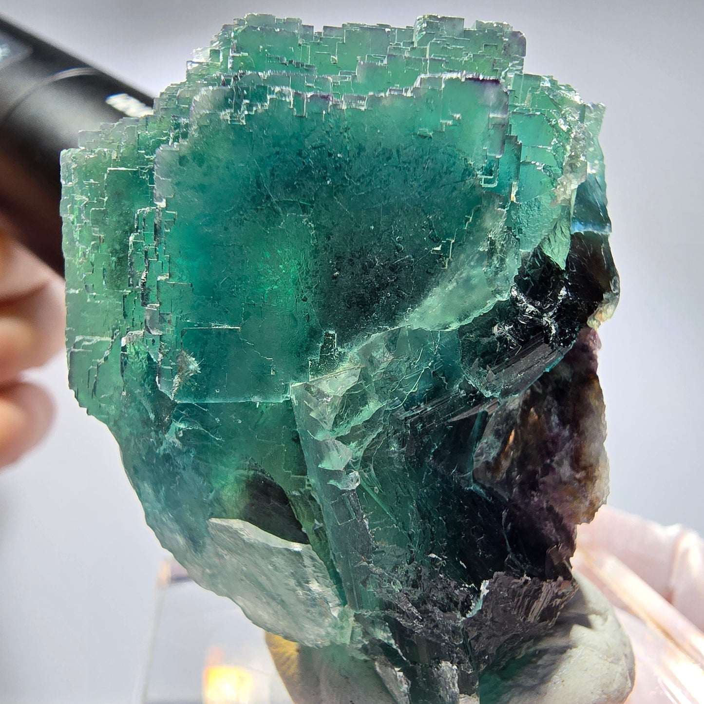 Phantom Fluorit Würfel Stufe, parkettiert Okorusu, Namibia 60*47*38mm #13255