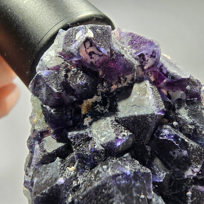 Seltene Phantom Fluorit Würfel Stufe, grün blau lila Okorusu, Namibia 63*50*35mm #13256
