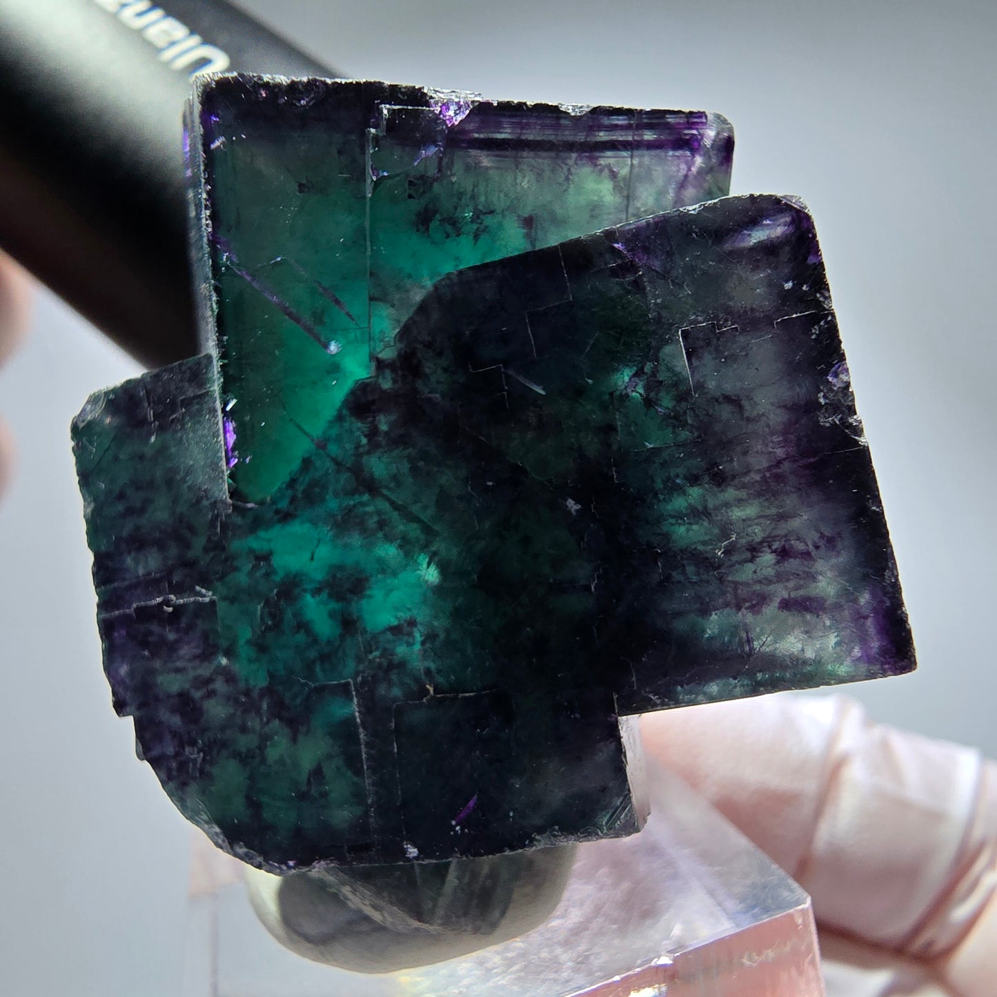 Seltene Phantom Fluorit Würfel Stufe, grün lila Okorusu, Namibia 49*41*33mm #13259