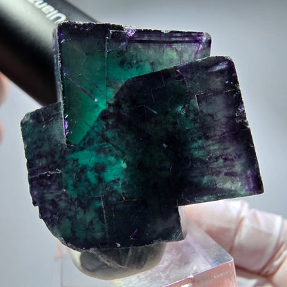 Seltene Phantom Fluorit Würfel Stufe, grün lila Okorusu, Namibia 49*41*33mm #13259