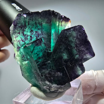 Seltene Phantom Fluorit Würfel Stufe, grün lila Okorusu, Namibia 49*41*33mm #13259